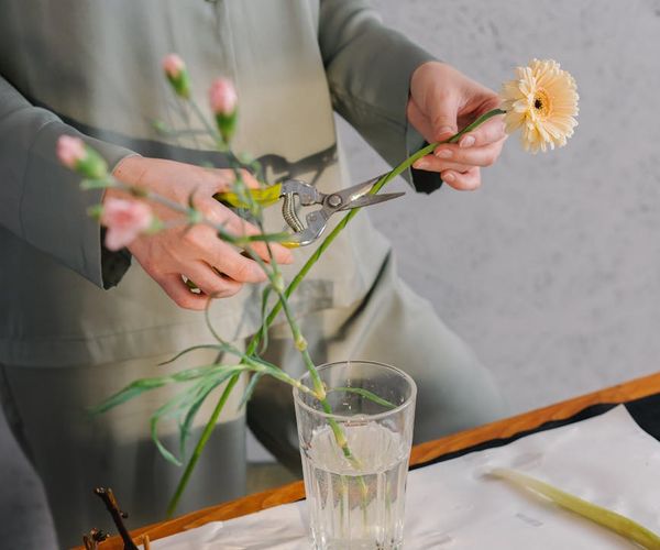Person meditating peacefully in a calm, natural setting.